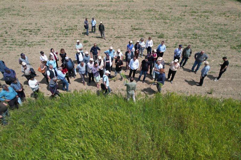 Our Field Day Events were Held in the Gediz Basin