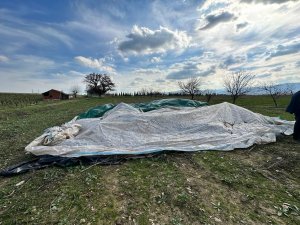 We Examined the Practices We Made Before Our Farm Demonstrations Onsite