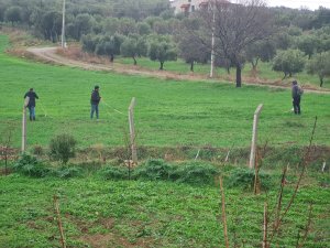 We Examined the Practices We Made Before Our Farm Demonstrations Onsite