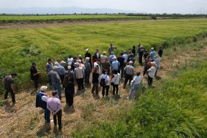 Our Field Day Events were Held in the Gediz Basin