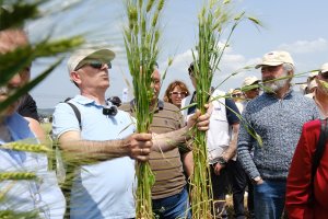 Our Field Day Events were Held in the Gediz Basin