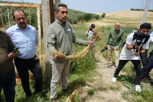 Tarla Günü Etkinliklerimiz Gediz Havzasında Gerçekleştirildi