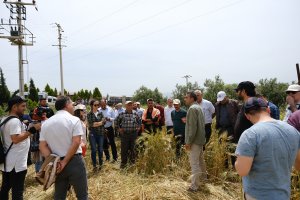 Tarla Günü Etkinliklerimiz Gediz Havzasında Gerçekleştirildi