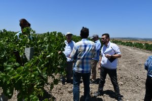 Farms have been visited in the Gediz Basin that  may be suitable fort he farm demonstrations and field days.