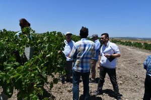 Gediz Havzasında Gerçekleştireceğimiz Çiftlik Demonstrasyonları ve Tarla Günleri İçin Uygun Olabilecek Çiftlikler Ziyaret Edildi.