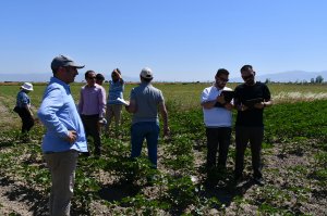 Farms have been visited in the Gediz Basin that  may be suitable fort he farm demonstrations and field days.