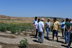 Visited in Gediz Basin